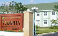 Vidipha chào bán gần 10 triệu cổ phiếu cho cổ đông