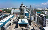 Lý do cổ phiếu của Thép Pomina bị duy trì hạn chế giao dịch