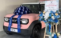 Mỗi ngày VinFast bán ra hơn 138 chiếc VF 3