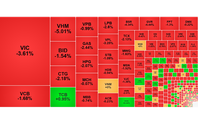 Chứng khoán ngày 14/8: VN-Index về dưới 1.730 điểm