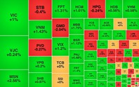 Chứng khoán ngày 20/8: VN-Index lấy lại đà tăng
