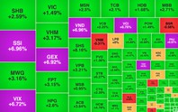 Chứng khoán ngày 21/8: VN-Index tăng mạnh phiên cuối tuần