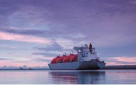 Qatar lại báo tin không vui đến cả thế giới