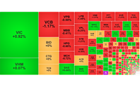 Chứng khoán ngày 5/8: VN-Index giảm nhẹ