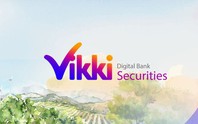 Tân Chủ tịch HĐQT nâng sở hữu lên 75% vốn VikkiBankS