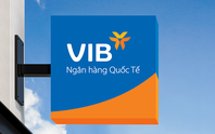 Một số tồn tại, hạn chế trong hoạt động cấp tín dụng tại VIB Quảng Ninh 1 ngân hàng