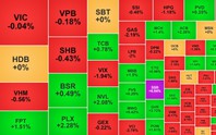 Chứng khoán ngày 16/9: Khối ngoại mua ròng phiên thứ 3 liên tiếp, VN-Index giảm nhẹ