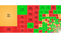 Chứng khoán ngày 18/9: VN-Index giảm 7 điểm