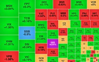 Chứng khoán ngày 22/9: VN-Index bật lên 1.816 điểm