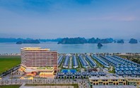 CEO Group lập thêm một công ty con