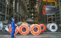 Tôn Đông Á sắp chi gần 150 tỷ đồng trả cổ tức năm 2025