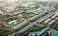 Mã KOS giảm sàn 5 phiên liên tiếp, Kosy Group giải trình gì?