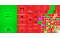 Chứng khoán ngày 3/9: VN-Index giảm nhẹ, áp lực dồn vào nhóm tài chính