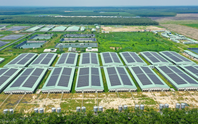 Baf Việt Nam thành lập công ty con chế biến thực phẩm tại Gia Lai
