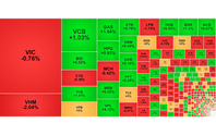 Chứng khoán ngày 9/9: VN-Index giảm nhẹ