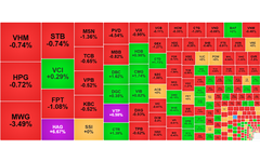 Chứng khoán ngày 12/11: HAG 'nổi sóng', VN-Index tiếp tục mất điểm