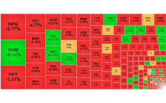 Chứng khoán ngày 14/11: Xả hàng ồ ạt, VN-Index giảm mạnh nhất 3 tháng