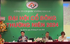 Lý do đình chỉ các kiểm toán viên ký BCTC năm 2023 cho Quốc Cường Gia Lai