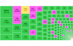 Chứng khoán ngày 16/8: Thanh khoản gần 1 tỷ USD, VN-Index tăng mạnh nhất từ đầu năm