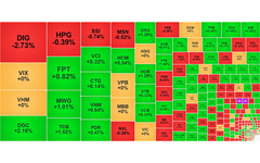 Chứng khoán ngày 30/8: VN-Index giữ sắc xanh bước vào kỳ nghỉ lễ