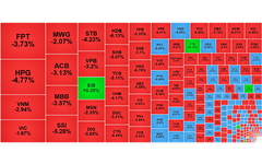 Chứng khoán ngày 5/8: Điều gì khiến VN-Index 'lao dốc' 48 điểm?