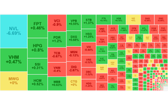 Chứng khoán ngày 11/9: NVL bị bán tháo, VN-Index lùi sát mốc 1.250 điểm