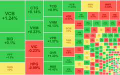 Chứng khoán ngày 12/9: VN-Index 'tìm' lại sắc xanh dù thanh khoản 'mất hút'