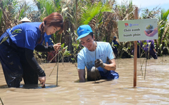 Khơi nguồn sáng tạo: Hành trình Xanh của tuổi trẻ SASCO