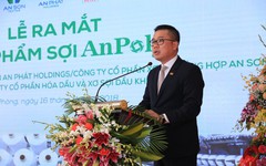 An Phát Holdings giảm kế hoạch kinh doanh năm 2024, Chủ tịch Phạm Ánh Dương xin từ nhiệm