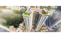 Intracom của Shark Việt bị 'điểm tên' trong danh sách chậm đóng bảo hiểm