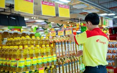 Vocarimex chuẩn bị rời sàn chứng khoán