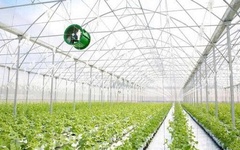 Pan Farm tất toán hơn 210 tỷ đồng gốc, lãi trái phiếu