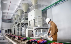 Hóa chất Đức Giang ‘ôm’ hơn 12.700 tỷ đồng tiền gửi ngân hàng, quý III/2025 lãi ròng 804 tỷ đồng