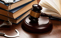 Truy nã đặc biệt Chủ tịch Tổng Công ty Cây xanh Công Minh