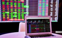 Quỹ ngoại Phần Lan gom thêm cổ phiếu HDG của Tập đoàn Hà Đô