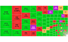 Chứng khoán ngày 29/10: Số mã xanh áp đảo, VN-Index tiếp đà tăng