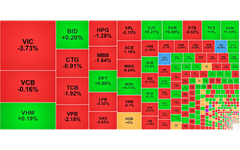 Chứng khoán ngày 30/10: 'Cổ đất' hút tiền trong phiên VN-Index giảm