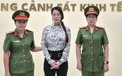 Khởi tố, bắt tạm giam diễn viên Trương Ngọc Ánh