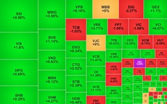 Chứng khoán ngày 8/10: VN-Index lập đỉnh mới trong ngày được nâng hạng