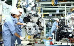 Doanh nghiệp Nhà nước báo cáo tình hình kinh doanh trước ngày 25/10
