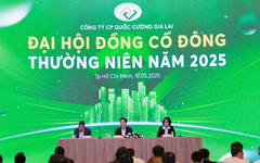 Quốc Cường Gia Lai tăng mạnh vay tiền của người thân lãnh đạo, đã trả 900 tỷ đồng cho Sunny Island