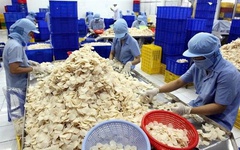 Công ty con của Vĩnh Hoàn muốn huy động gần 465 tỷ đồng để làm gì?