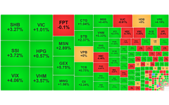 Chứng khoán ngày 11/11: VN-Index lấy lại 13 điểm