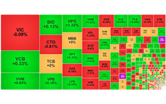 Chứng khoán ngày 14/11: VN-Index tăng 4 điểm