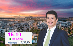 Novaland làm sao thế?