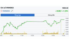 Chứng khoán ngày 17/11: VN-Index vượt mốc 1.650 điểm