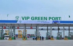 Viconship sắp thu gần 90 tỷ đồng cổ tức từ Cảng Xanh Vip
