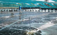 Mỹ, Trung Quốc đang đua nhau săn lùng kho báu đứng thứ 2 thế giới của Việt Nam: Nước ta có công nghệ chế biến dẫn đầu, vừa thu về gần 4 tỷ USD