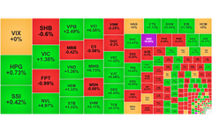 Chứng khoán ngày 18/11: Thị trường phân hóa, VN-Index tiến gần 1.660 điểm