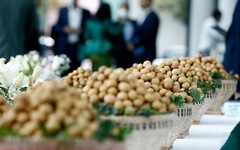 Đặc sản triệu đô của Việt Nam được Trung Quốc siêu mê, mệnh danh là 'vương giả chi quả', diện tích trồng hơn 68.000 ha